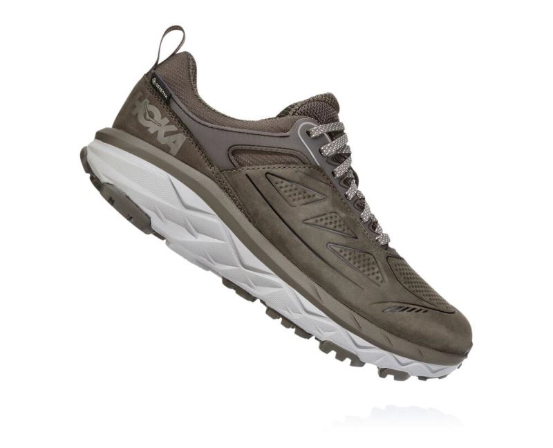 Hoka One One Challenger Low GORE-TEX Mulher - Sapatos De Caminhada Marrom | PT-DYEQrpo